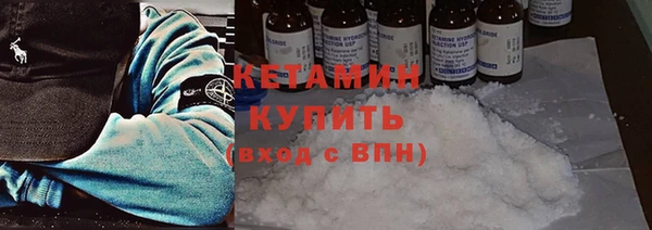 прущие грибы Беломорск