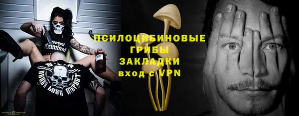 стаф Белокуриха