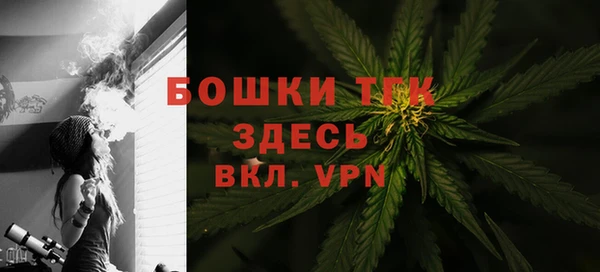 прущие грибы Беломорск