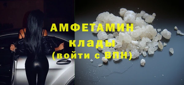 прущие грибы Беломорск