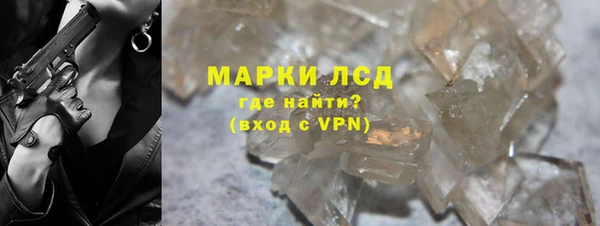 прущие грибы Беломорск