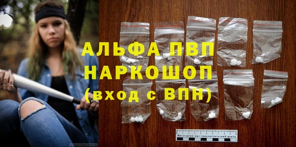 прущие грибы Беломорск