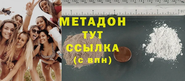 прущие грибы Беломорск
