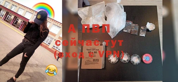 прущие грибы Беломорск