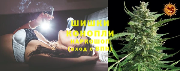 прущие грибы Беломорск